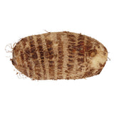 ASDA Eddoes root vegetable 140g - British product