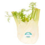 ASDA Fennel Fresh Cooking Herb