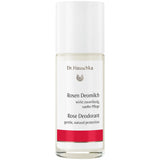 Dr Hauschka rose roll-on deodorant 50ml - British product