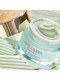 Estée Lauder Anti-Oxidant Creme SPF 15 dry skin 50ml - British product