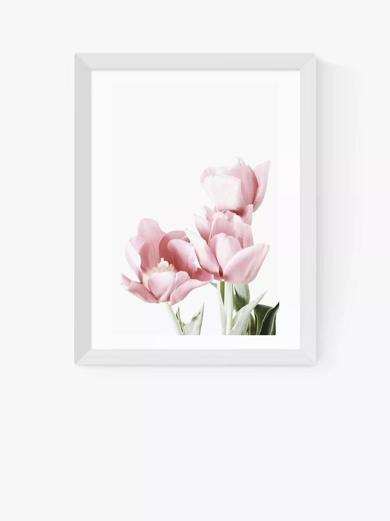 EAST END PRINTS Tulips framed print in white frame - British product