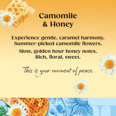 Twinings Camomile Honey tea bags 20 pack 30g, imported from the UK