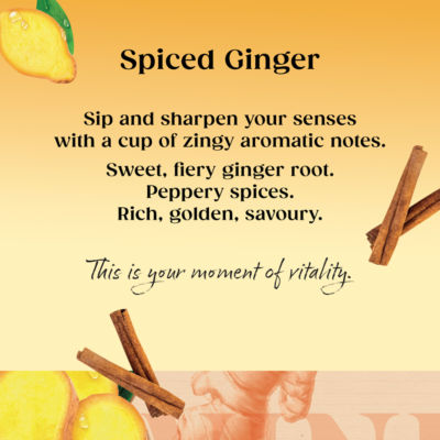 Twinings Spiced Ginger herbal tea bags 20 count (British brand)