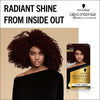 Schwarzkopf Oleo Intense Deep Bordeaux Hair Dye (British brand)