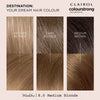 Clairol Colour Strong Medium Blonde hair dye - British product