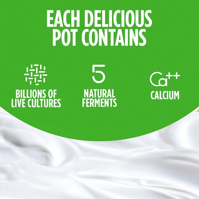 Activia Mango Strawberry Kiwi & Apricot Multipack Fruit Yoghurt 8 x 115g - McGrocer