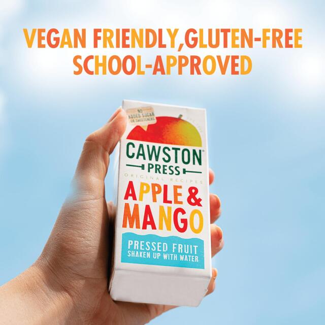 Cawston Press Kids Blend Apple & Mango Juice 3 x 200ml - McGrocer