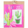 Sainsburys Home Fiesta Make Your Own Cactus