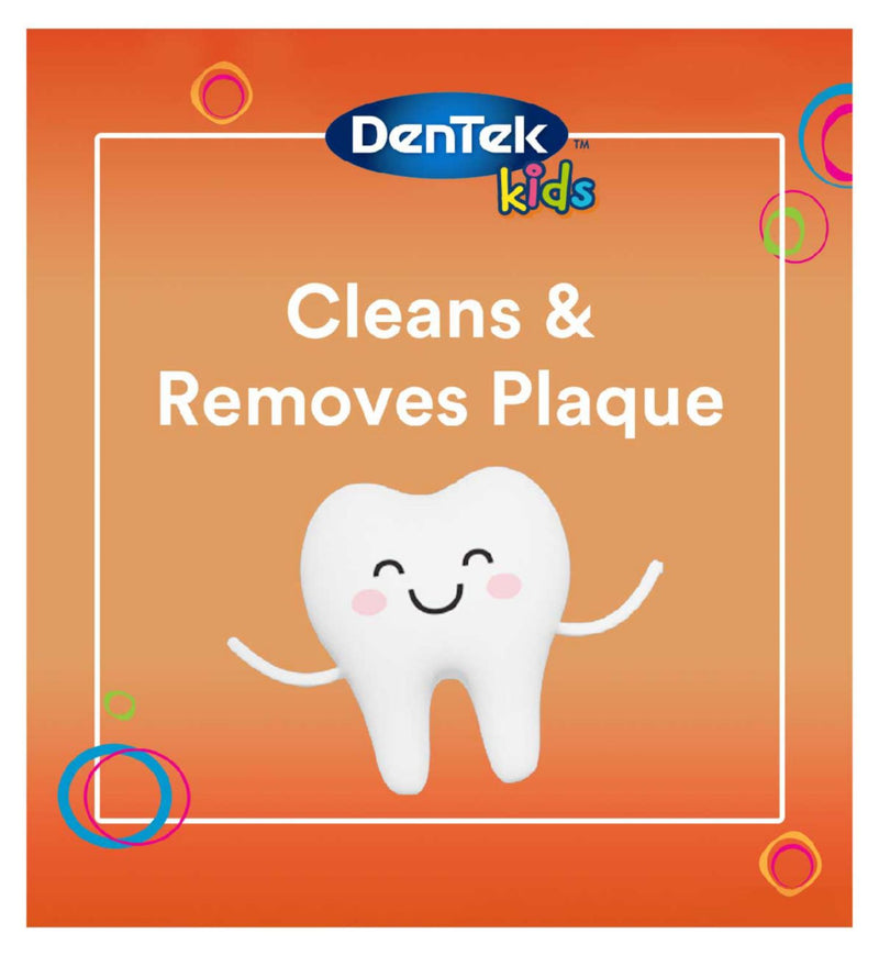 DenTek Kids Fun Flosser fruit flavoured dental picks 60 pack - British product