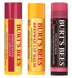 Burt's Bees Honey Pot Lip Balm Jar Set - British product