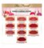 Too Faced Lip Injection Liquid Lipstick (British brand)