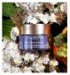 Clarins Nutri-Lumière Revive Cream 50ml pot - British product