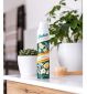 Batiste Dry Shampoo Green Tea and Chamomile 200ml - British product