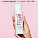 Briogeo Farewell Frizz Shampoo 236ml - British product