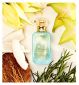 Kayali Maldives In A Bottle Eau De Parfum 10ml, UK version