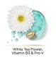 Pantene Hair Biology Menopause Bundle Shampoo Conditioner Serum Mask, imported from the UK