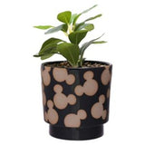 Disney Mickey Shapes Black Planter with Artificial Succulent - British product