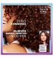 Clairol Tone+Gloss hair dye Amber 645/92 - British product