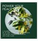 AVEDA Shampure Nurturing Natural Shampoo 250ml - British product