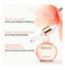 Kérastase hair oil Wild Rose Glaze Drops 45ml, UK version
