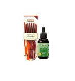 Cantu Brush Rosemary Mint Scalp Oil
