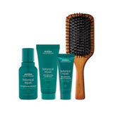 Aveda Hair Repair Travel Essentials Set Damaged Hair Haircare