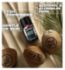 Lynx Lower Body Spray Coconut + Sandalwood 100ml, UK version
