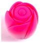 Ann Summers Blooming Pleasure Clitoral Stimulator - British product
