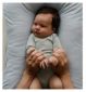 Snuggle Me infant louver cover bluebell (British brand)