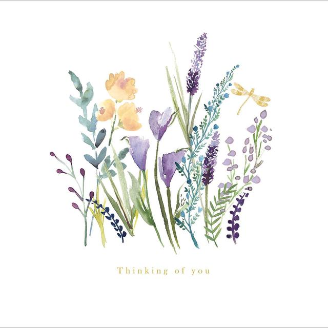 Thinking of You Sympathy Card Miscellaneous M&S