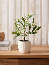 Green Artificial Mini Olive Tree in Ribbed Ceramic Pot - Indoor Decorative Plant - 30cm Height
