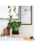 The Little Botanical Monstera Big Belly Basket H60 x W36 x D35 cm, imported from the UK