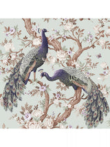 Striking Peacock Design Wallpaper