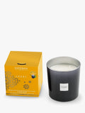 Esteban Ambre scented candle 450g - British product