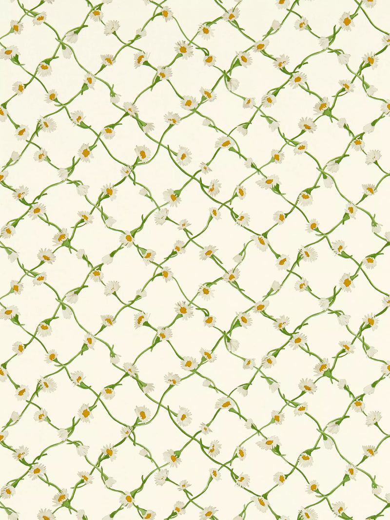 Harlequin x Sophie Robinson Daisy Trellis Wallpaper, UK version