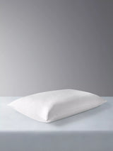 Soft Natural Duck Feather Pillow Pair with Piped Cover