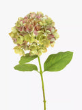 Floralsilk artificial french hydrangea green - British product