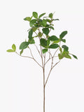 Floralsilk Artificial Enkianthus Spray Green - British product