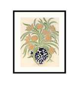 John Lewis La Poire Apricot Tulips Framed Print and Mount in Green and Orange