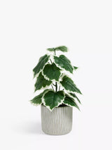 John Lewis Artificial Variegated Fig Plant Green Grey Cement Pot