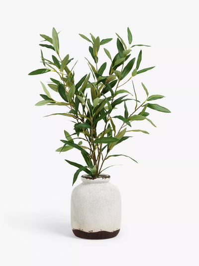 John Lewis Artificial Olive in Ceramic Vase, White/Green Indoor Planter