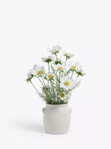 John Lewis Artificial Cosmos Ceramic Pot White Green Indoor Planter