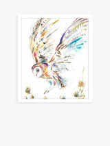 John Lewis Barn Owl I Framed Print Multi Wall Art 63.5 x 53.5cm