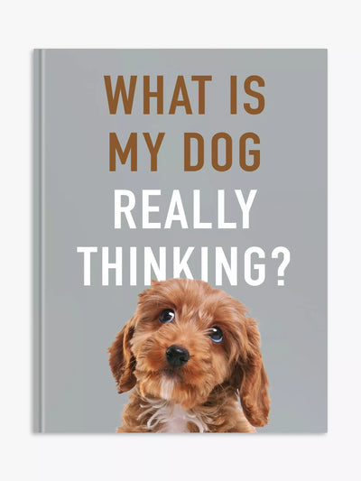 Allsorted What Is My Dog Thinking Reference Book Hardback