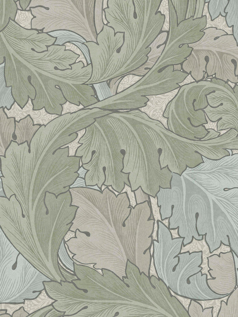 Acanthus Pattern Wallpaper in Sage Duck Egg