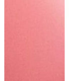 Sisley-Paris Phyto-Lip Balm