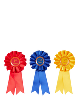 LeMieux Pony Rosettes Toy Pony Award Rosettes Pack of 3
