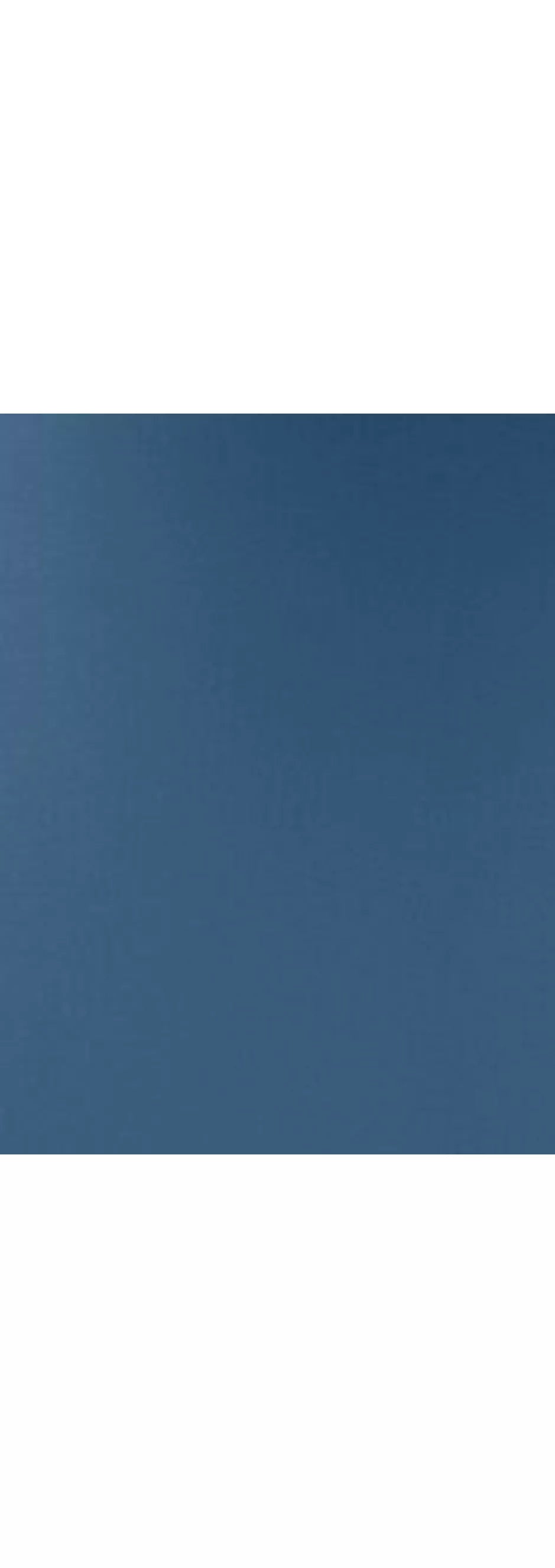 De'Longhi Ballerina Seta 4 Slice Toaster - McGrocer