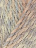 West Yorkshire Spinners Re:Treat Chunky Twist Yarn 100g (British brand)