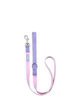 Colour Block Dog Lead with Nylon Tape and Appleskin Leather Trim, Pink and Purple